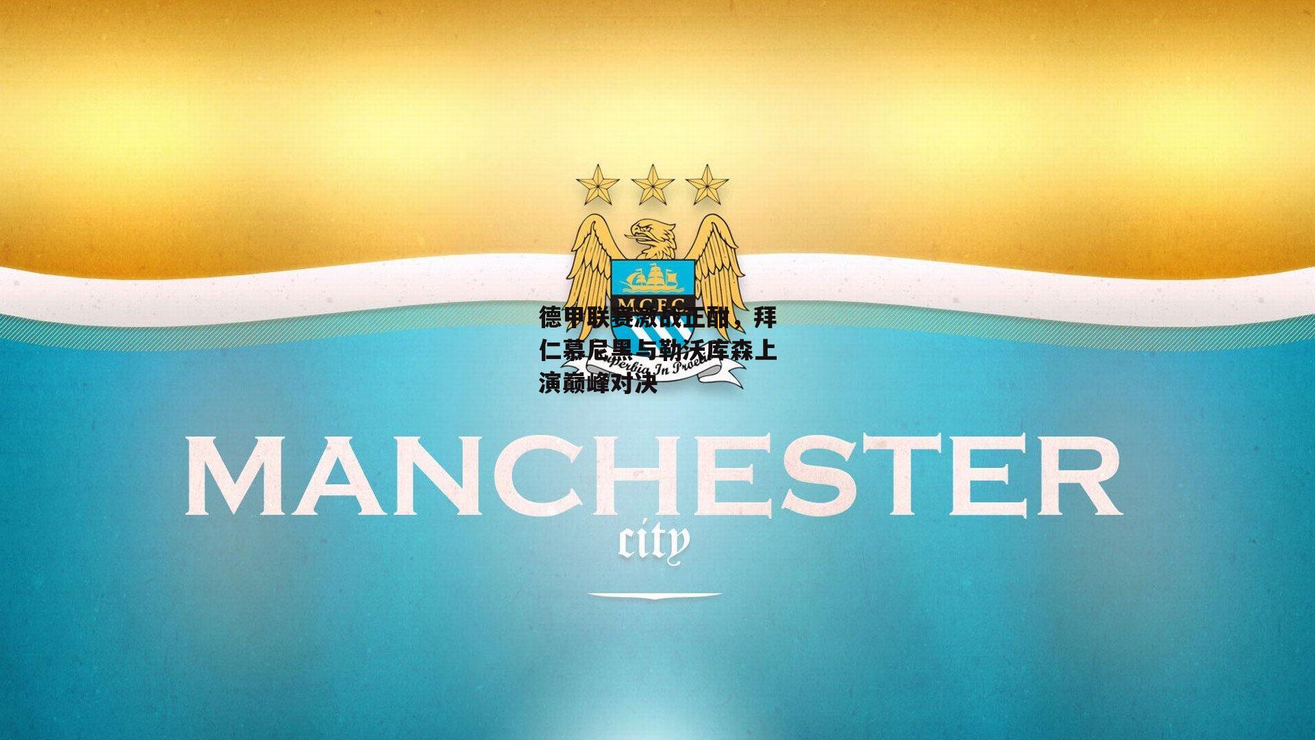 德甲联赛激战正酣,拜仁慕尼黑与勒沃库森上演巅峰对决